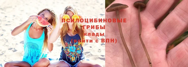 COCAINE Горно-Алтайск