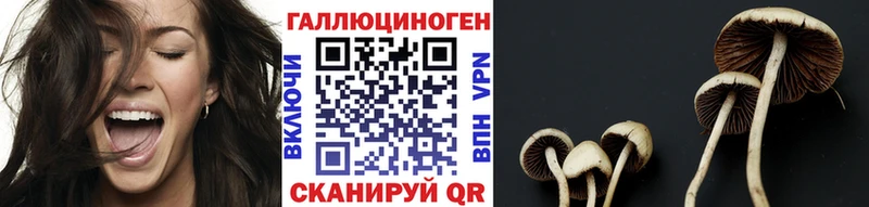 хочу наркоту  Махачкала  Галлюциногенные грибы MAGIC MUSHROOMS 
